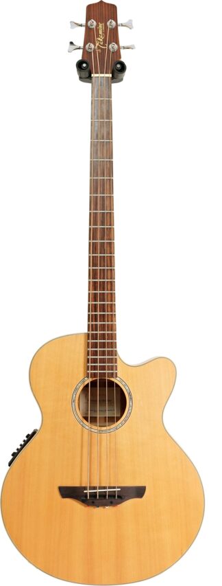 4-String Acoustic & Semi-Acoustic Basses
