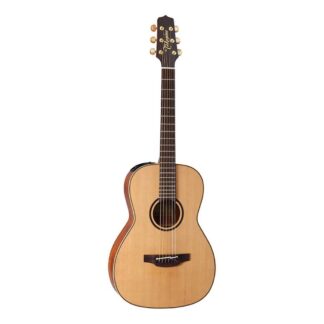 Steel-String Guitars