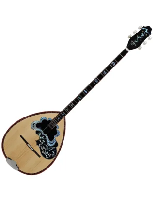 Miscellaneous Stringed Instruments