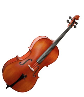 VIVENTE W3182AG 4/4 CELLO (1 Pc)